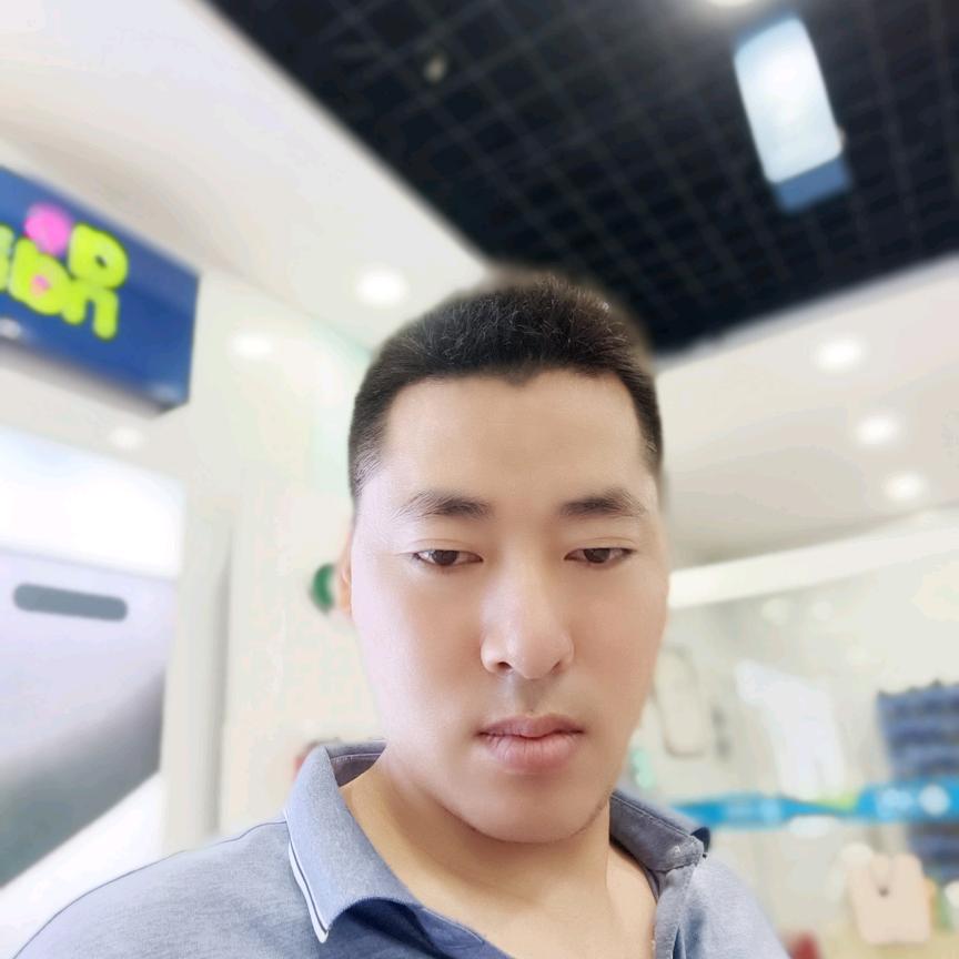 龙飞凤舞万物复苏