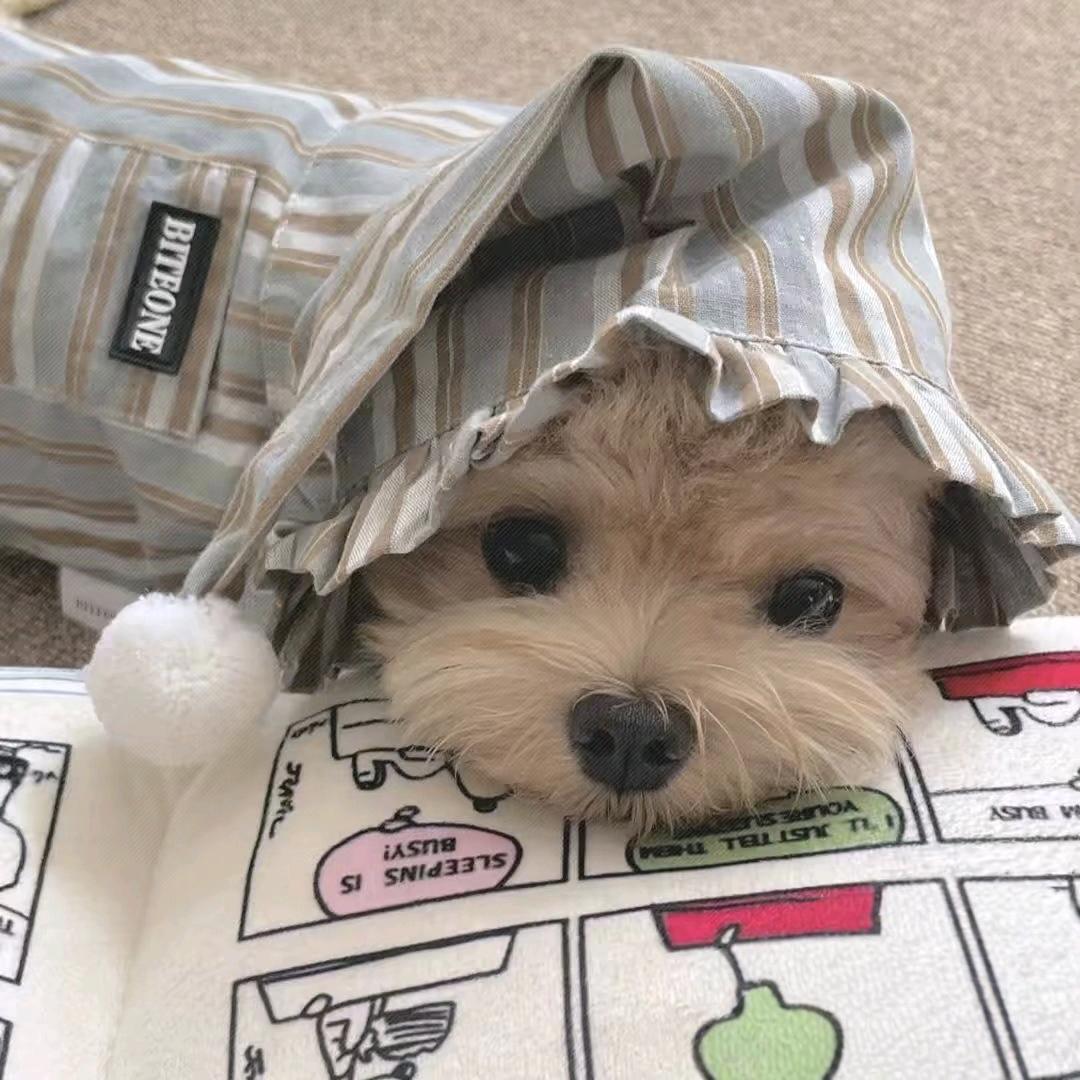 我在等雨停