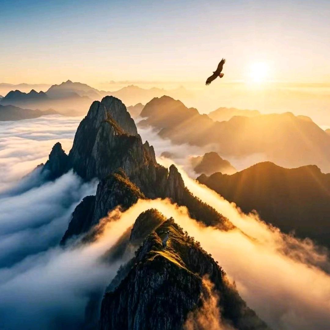 栗芯茶业