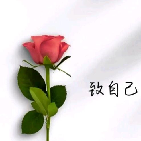 刘姐