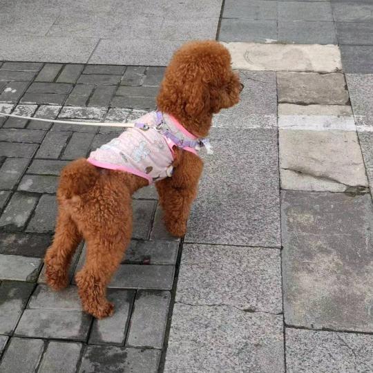 梦醒殇人❤