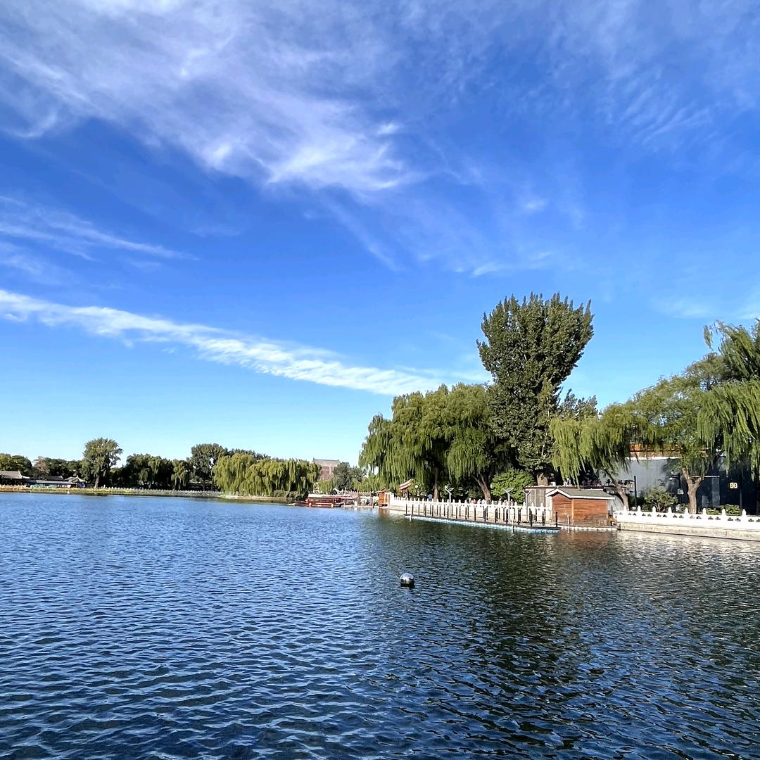 日本原丝鱼线楠楠店