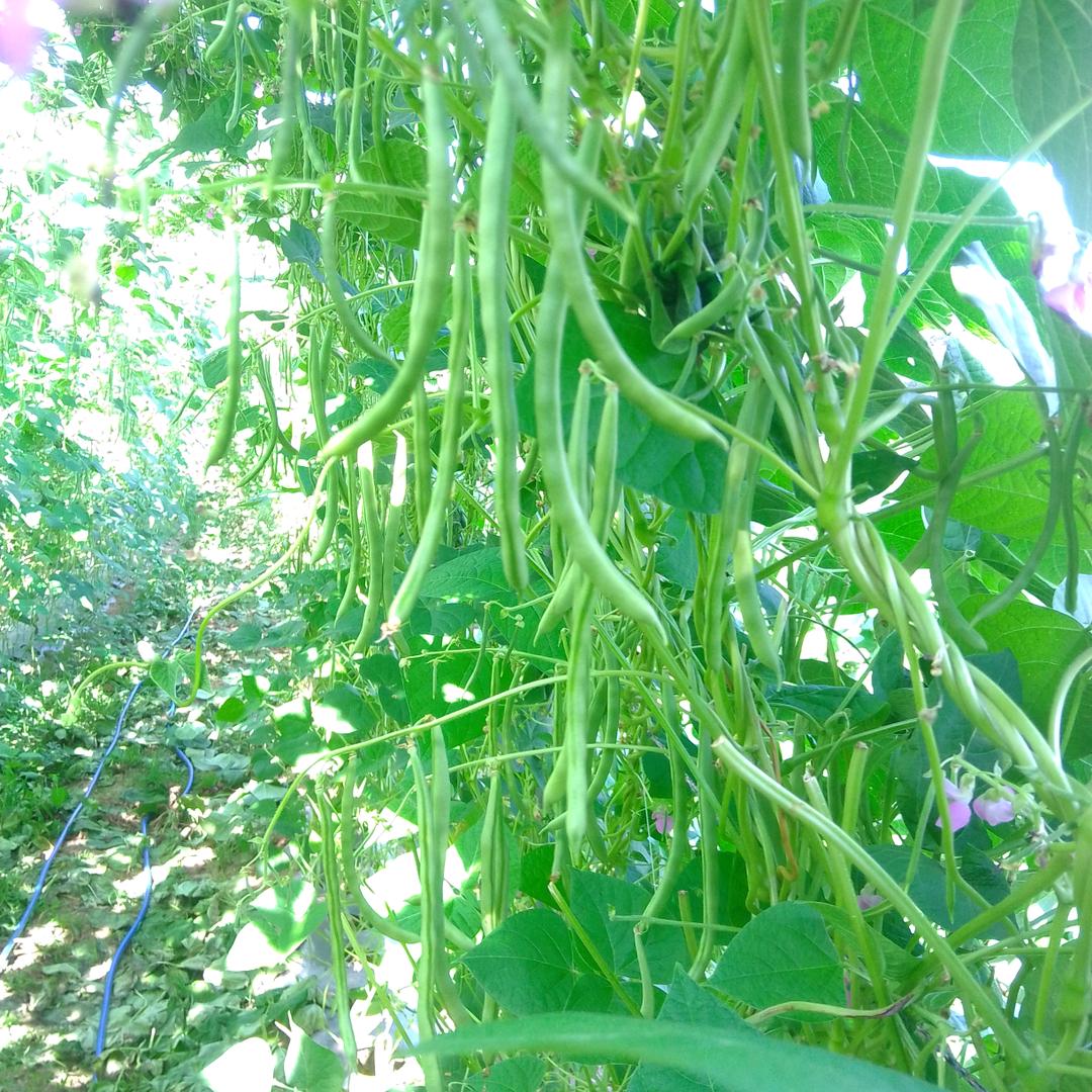 还能在次与你相遇，就是缘分吧！