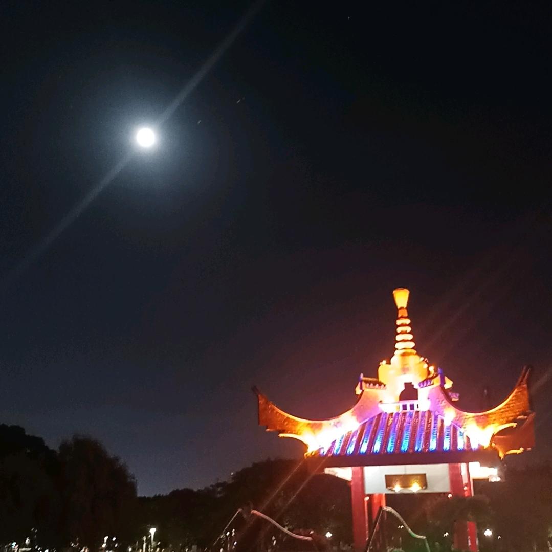 阿童木