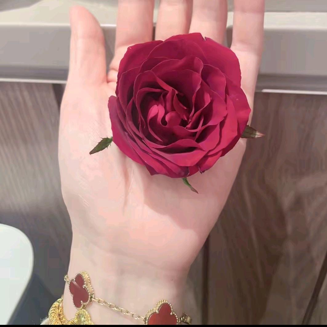 小李的幸福生活