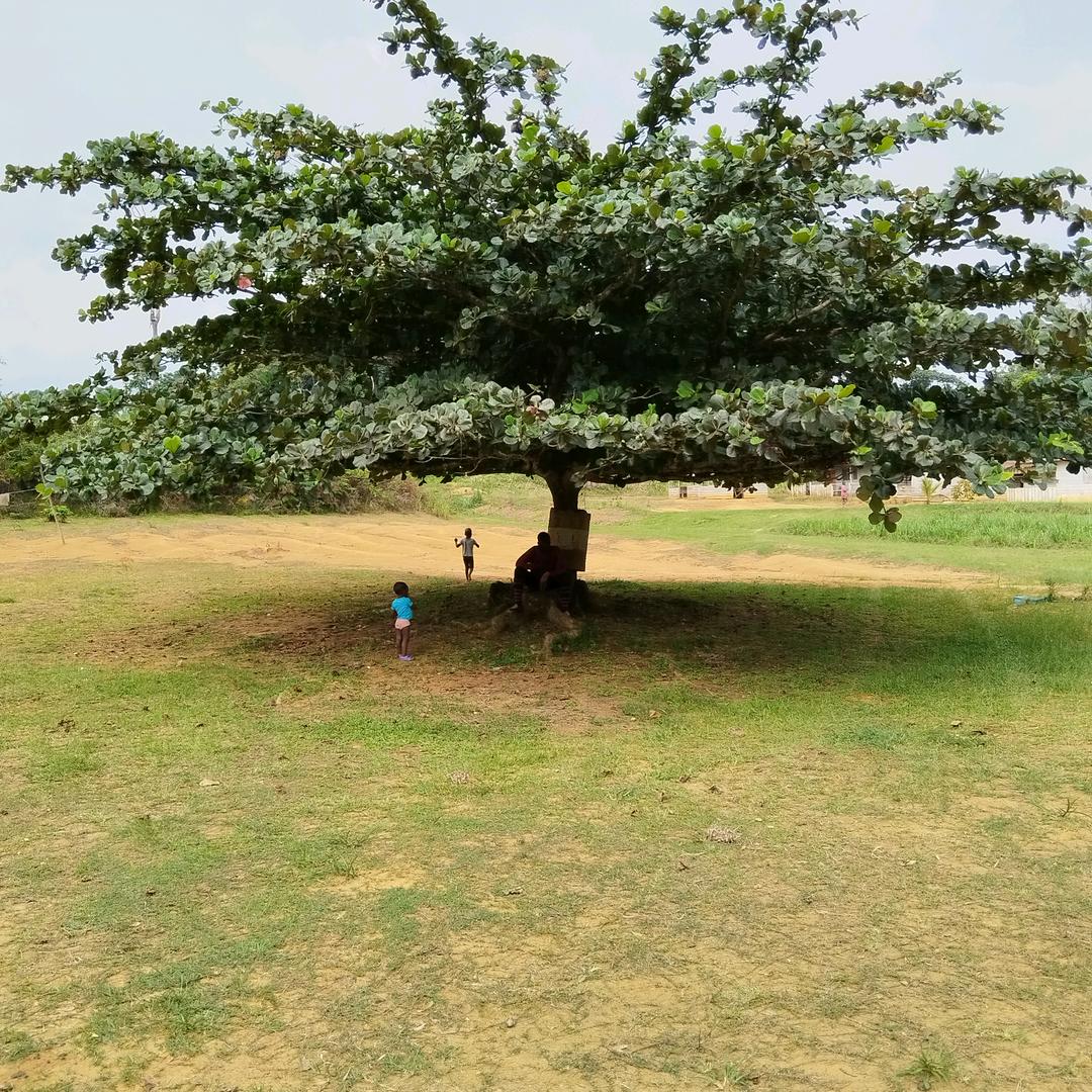 杰哥$◕‿◕｡$