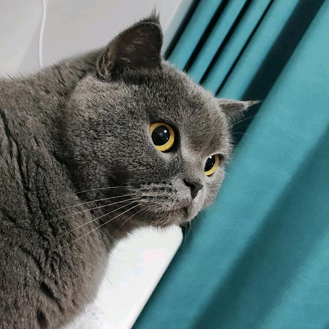 徐梅