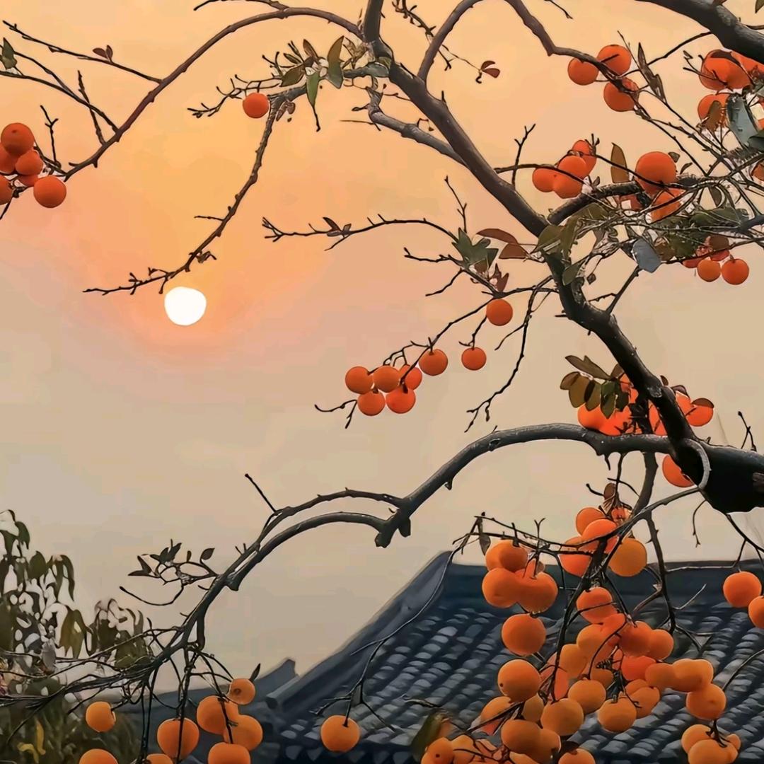 南阳东晖职业技能培训学校有限公司