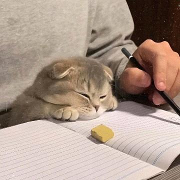 悲喜交加的摩啊马