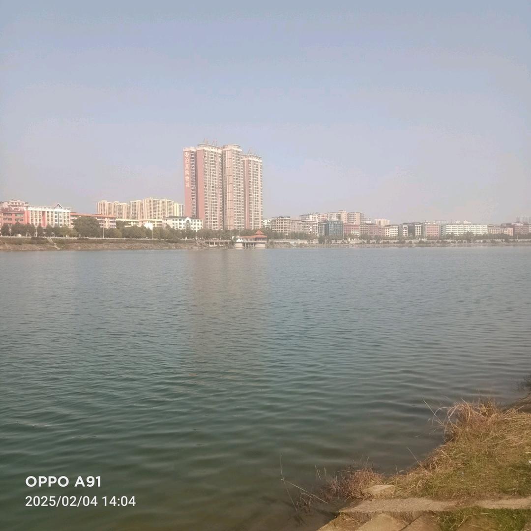 梦中有你