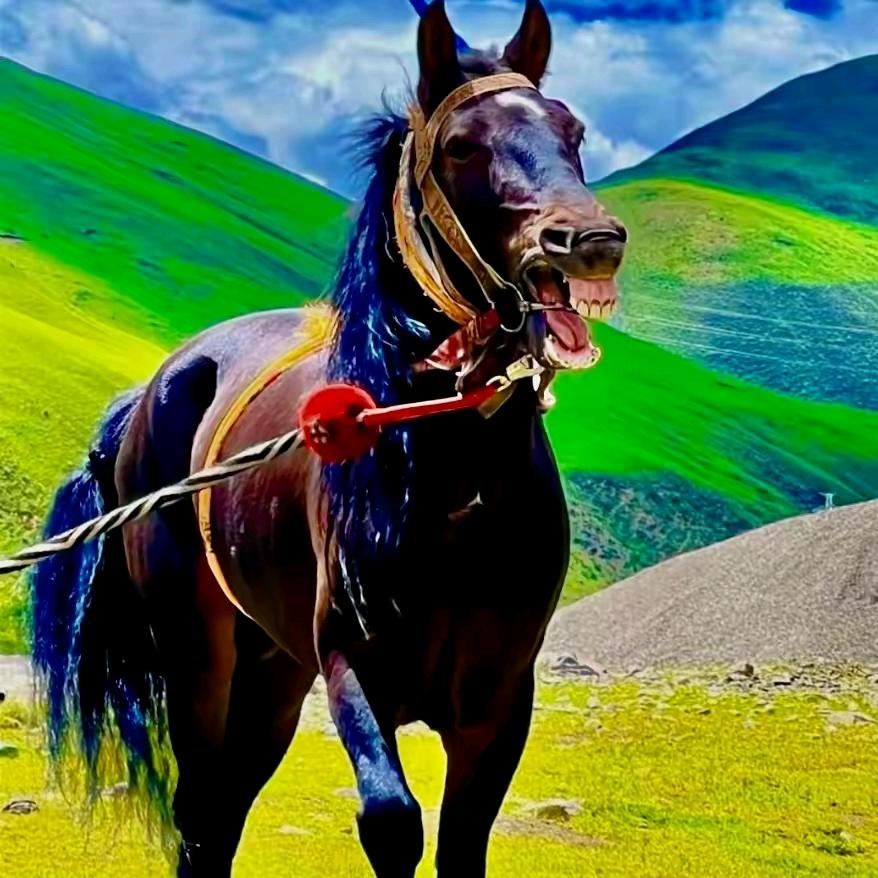 ༄༅བོད་