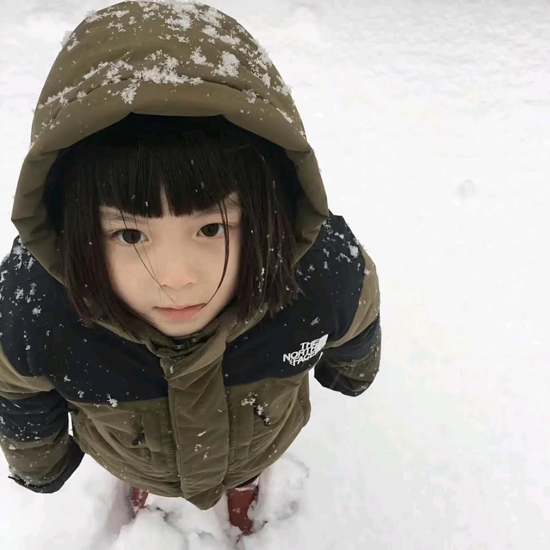 恶语似刀