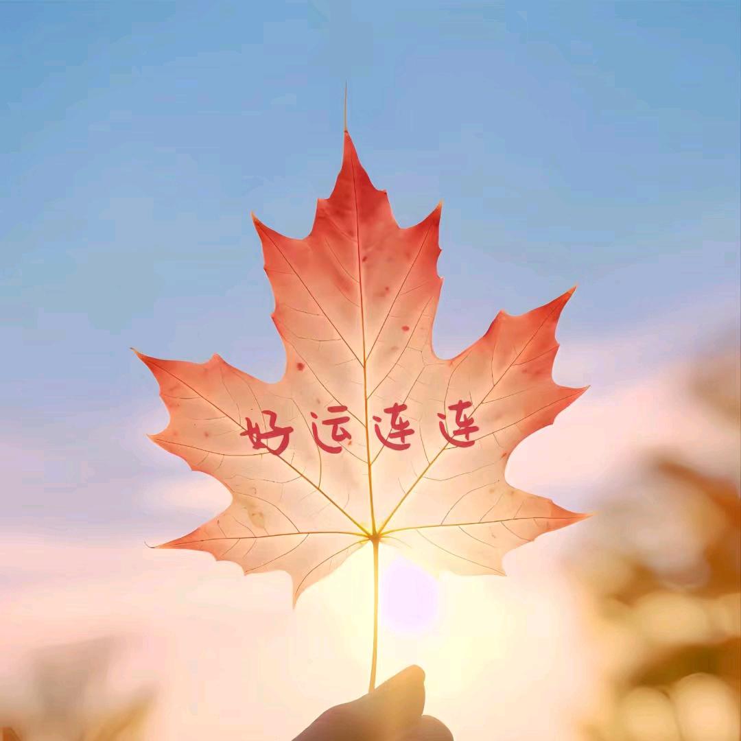 十二月你好