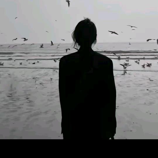 ❥⁵²º࿐轮回有你，徐你一生