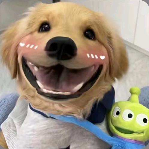 哄你睡觉好不好