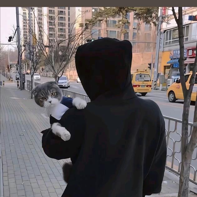 单亲爸爸（已结扎）