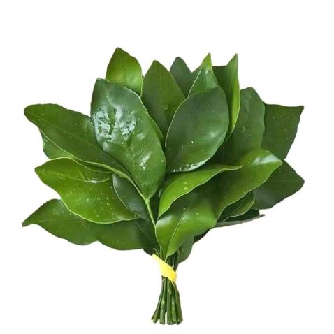 행복해