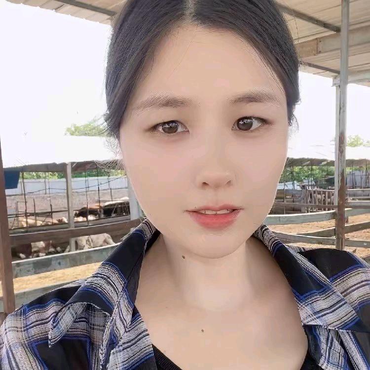 刘星雨聊养牛