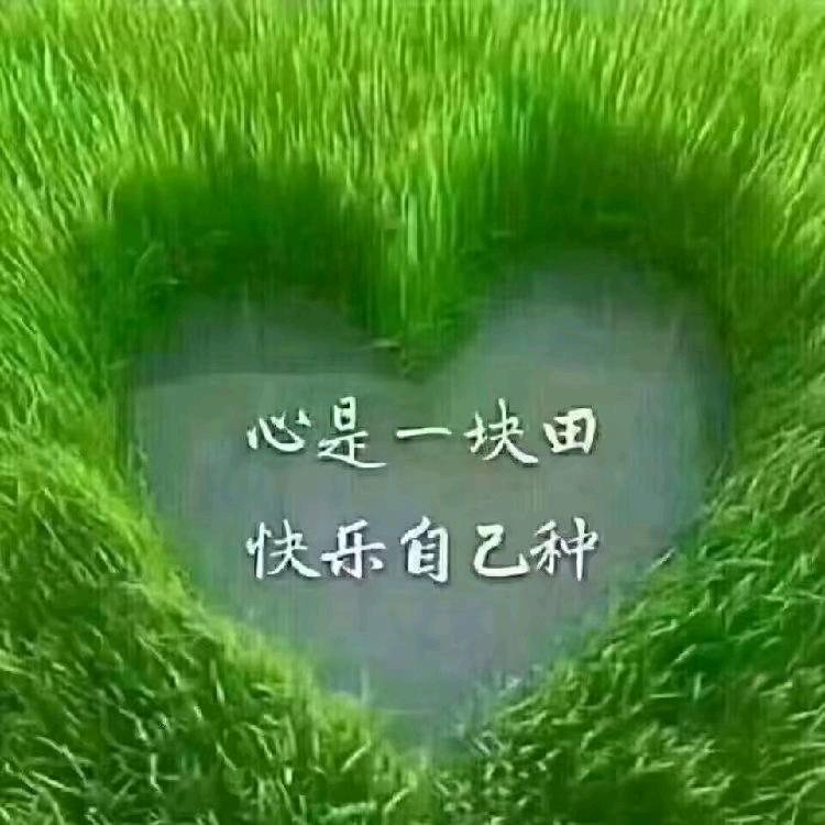 心静