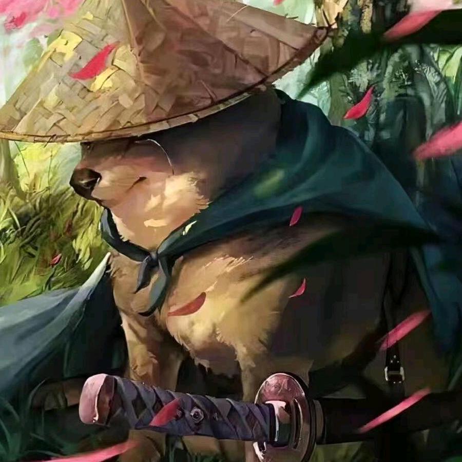 江湖里的一个游客