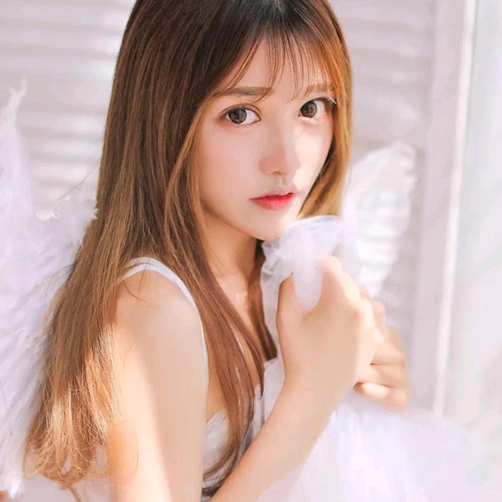 心想事橙(橱窗里有)
