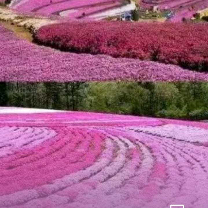 开心快乐每一天