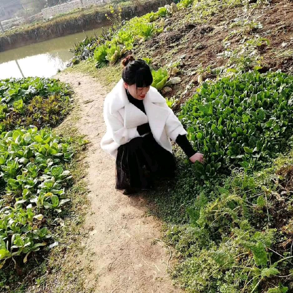 刘家五妹
