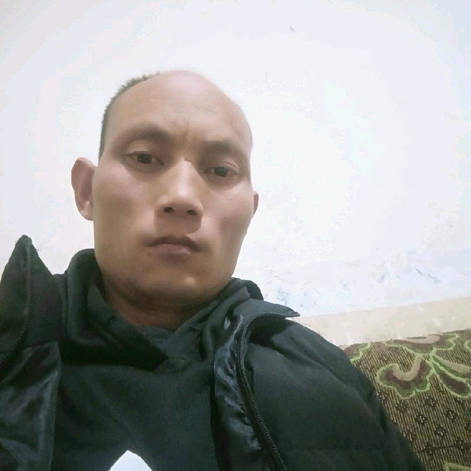 与狼共舞