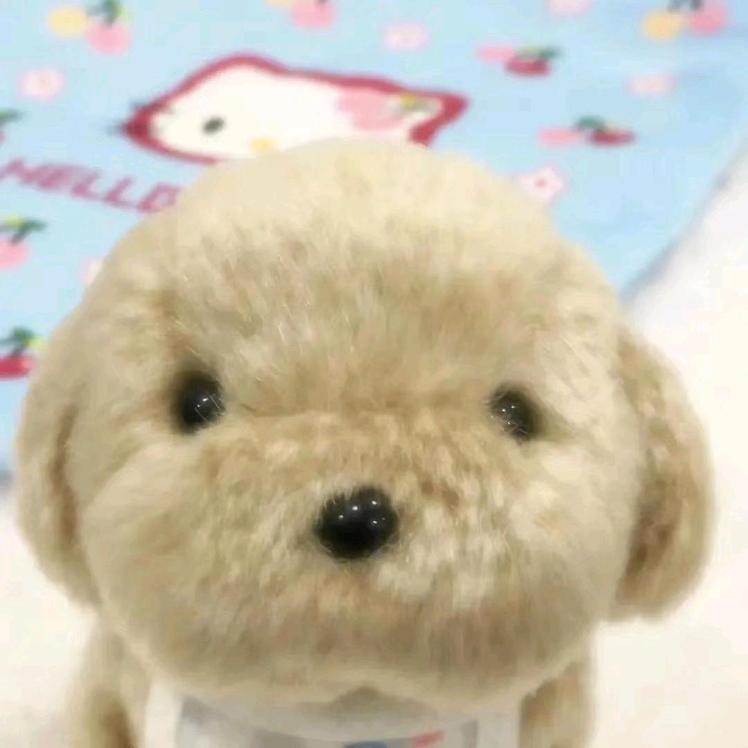 @JJJ