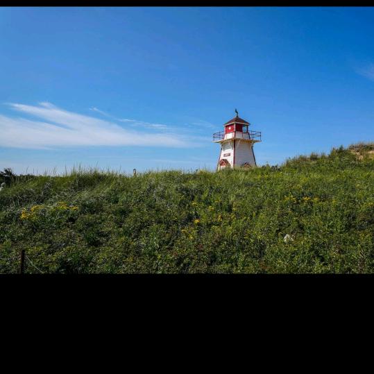 🥀孤獨᭄又何ᩚ防ৡᩚ࿐