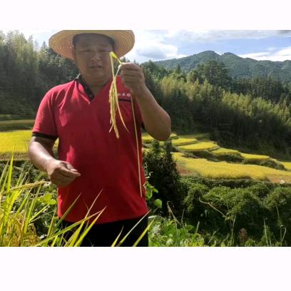 连山小马哥＿耕耘农场
