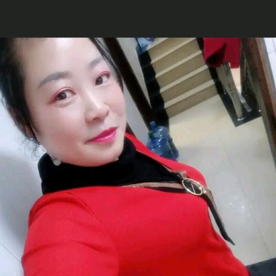 南  燕  北  飞  
