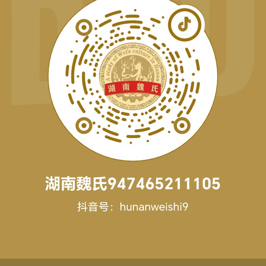 湖南魏氏947465211105