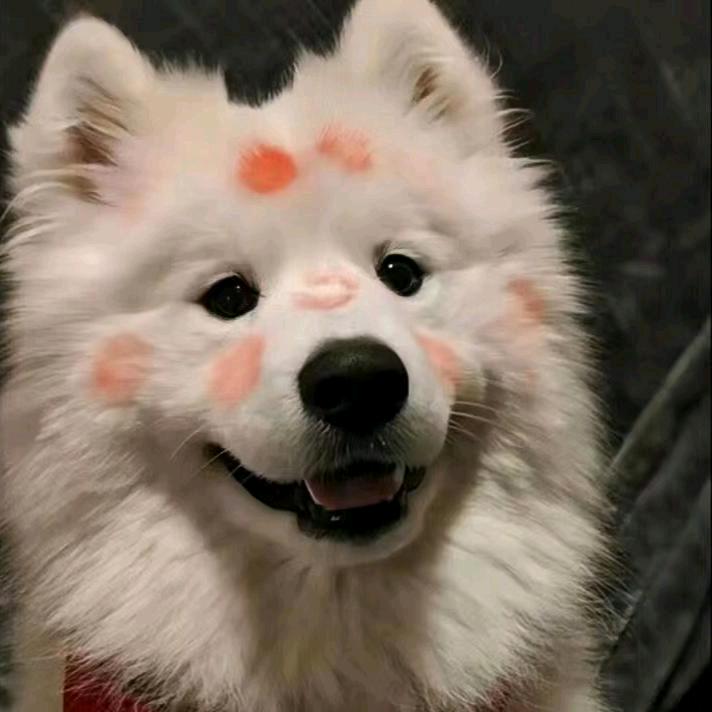 要买大红旗的宇哥