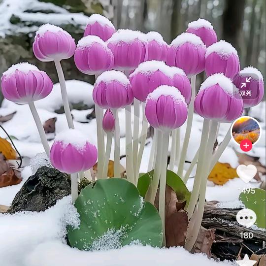 ❤️❤️99健康99❤️❤️