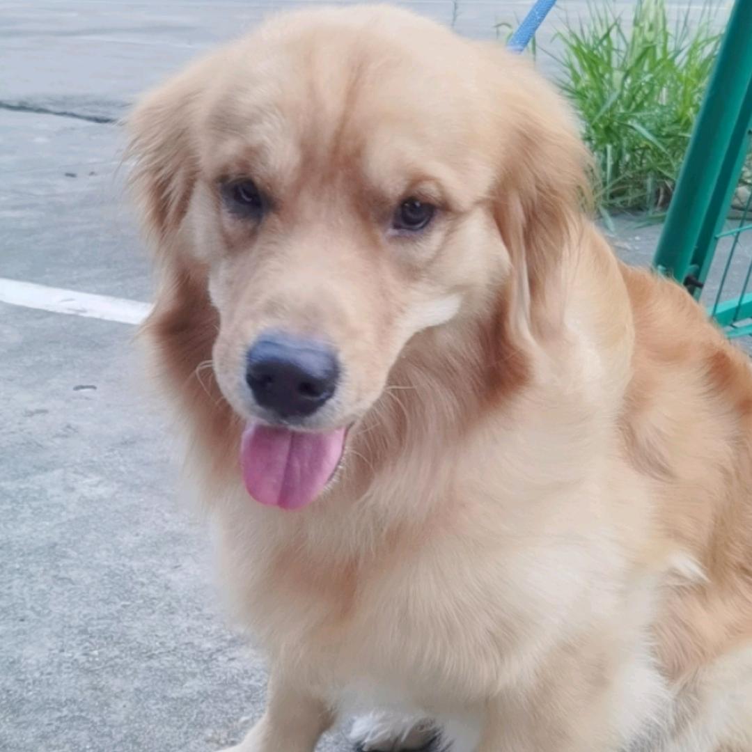 陈可乐