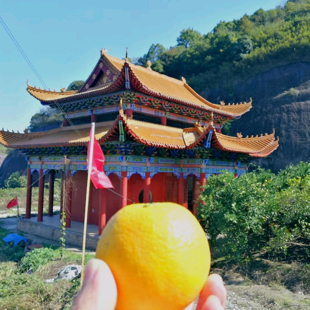 柳闲居百货
