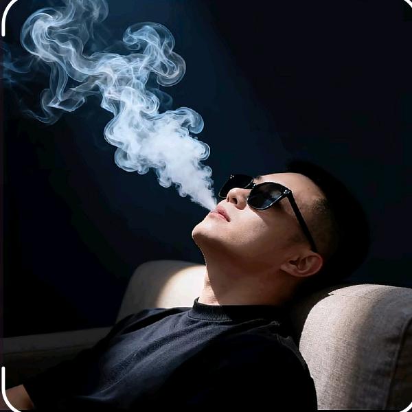 维维多