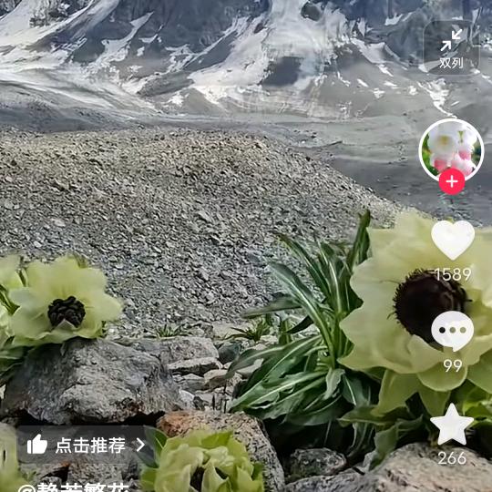 ？？？？？