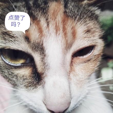 何福