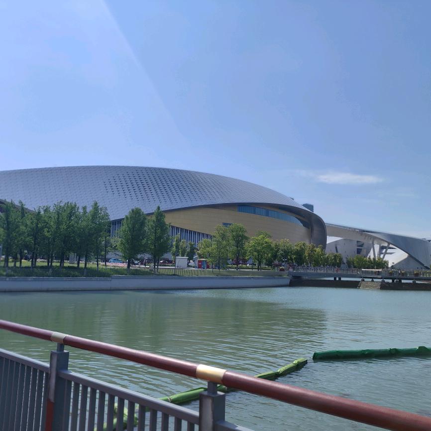 新号