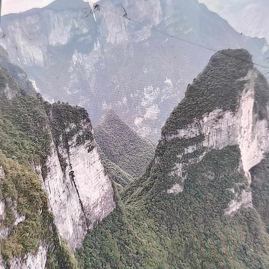 静音姐