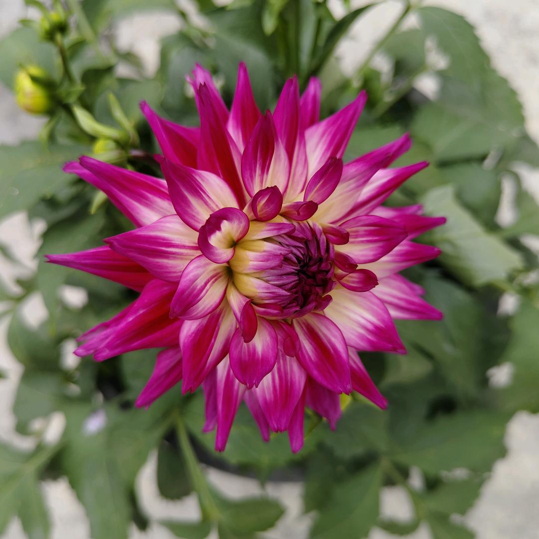 @幸福快乐每一天🙂