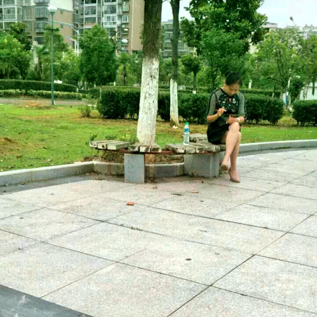 九月珍