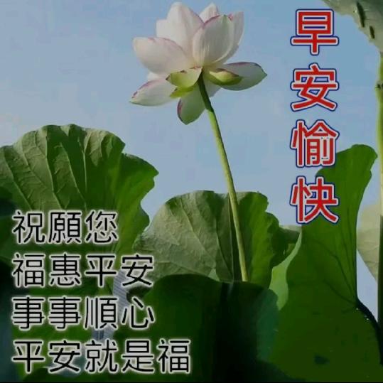 津都园林