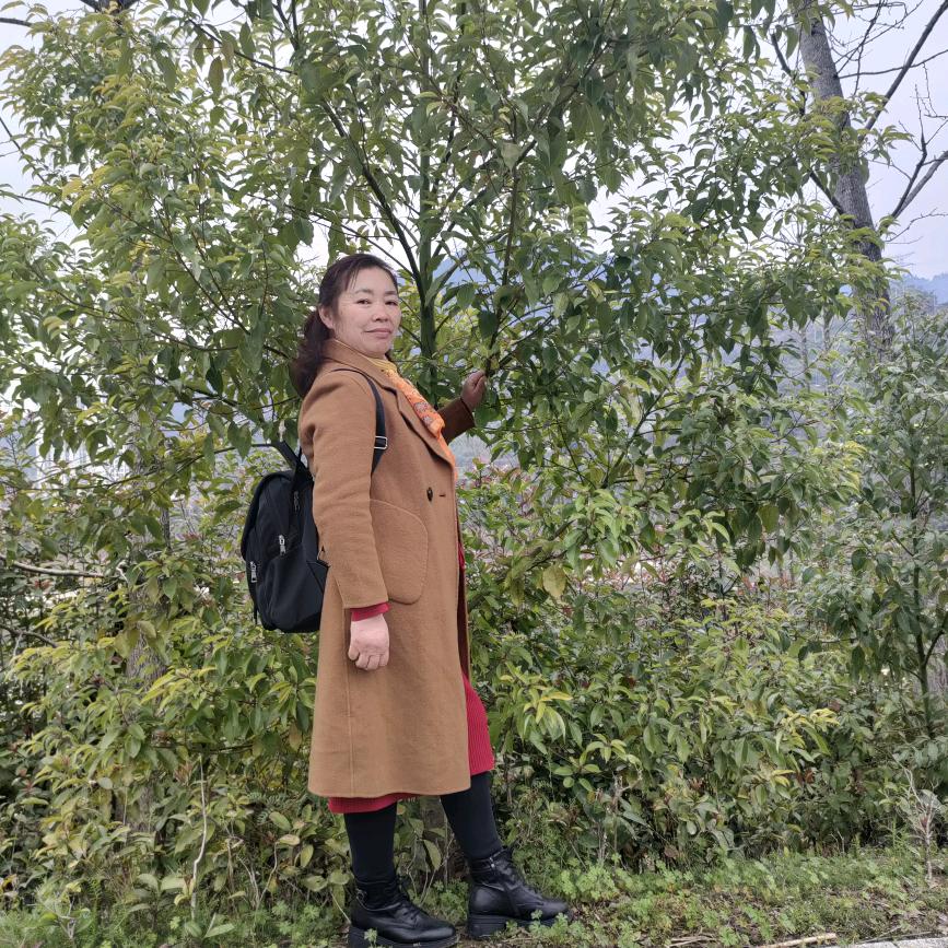 孙姐