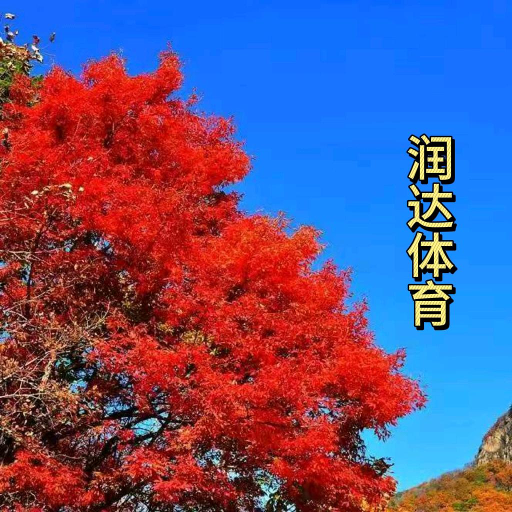 润达体育