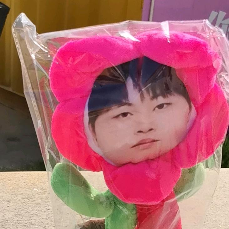 zmjjking