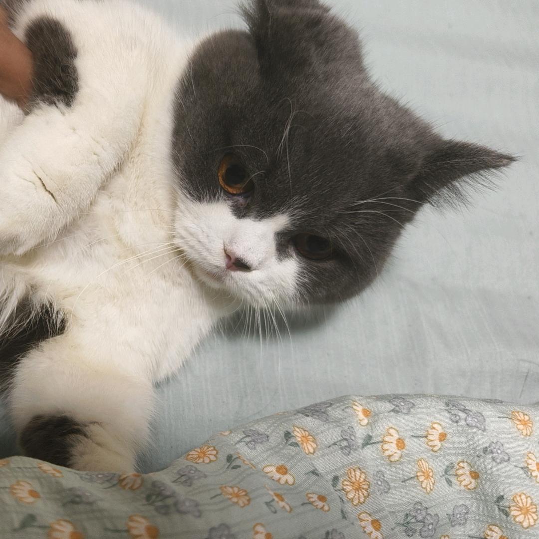 思♤忆