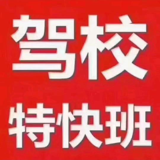 甄磊教练